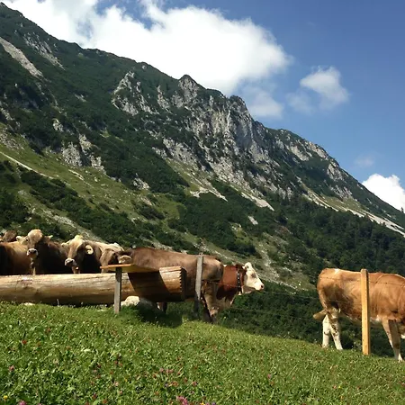 Bio-bauernhof Bachangerhof Kossen