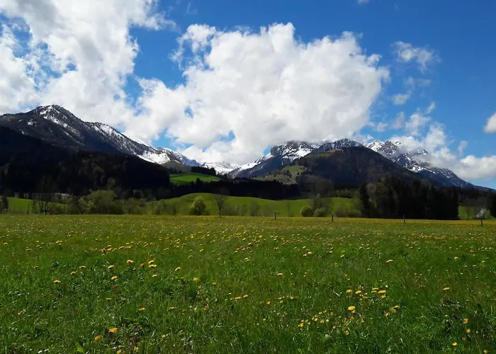 Bio-bauernhof Bachangerhof *