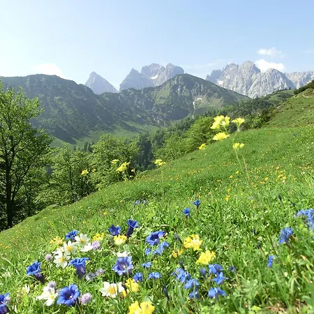 Bio-bauernhof Bachangerhof * Kossen