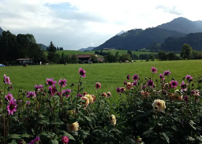 Bio-bauernhof Bachangerhof Farm stay