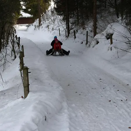Bio-bauernhof Bachangerhof Фермерский дом Кёссен