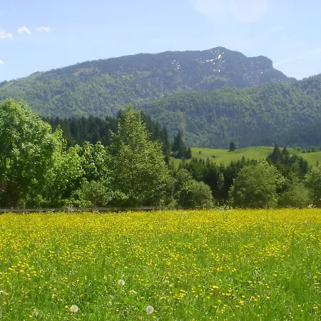 Gospodarstwo agroturystyczne Bio-bauernhof Bachangerhof